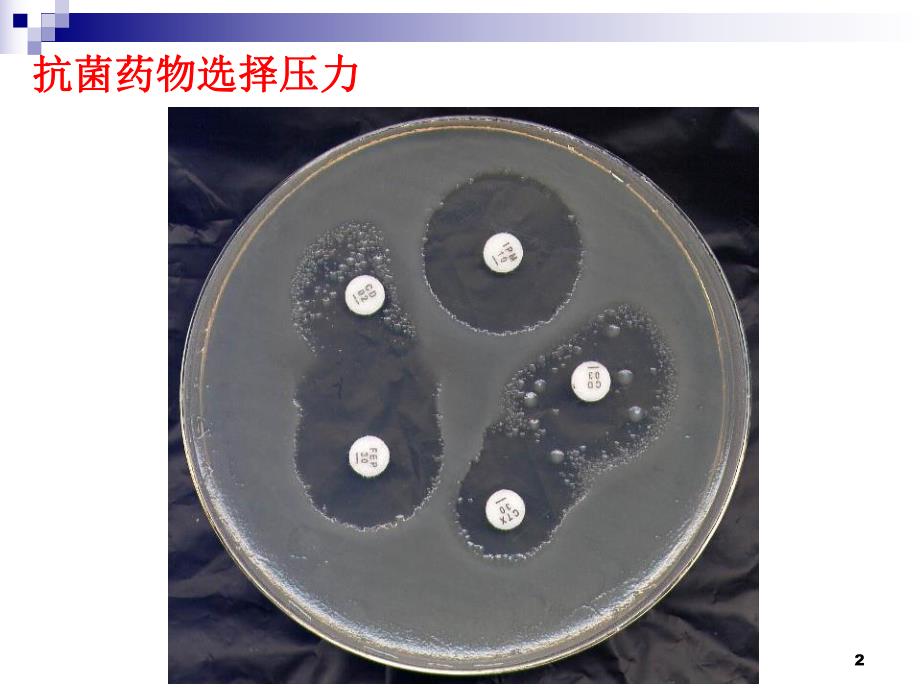 [临床医学]PKPD在合理使用抗生素中的意义.ppt_第2页