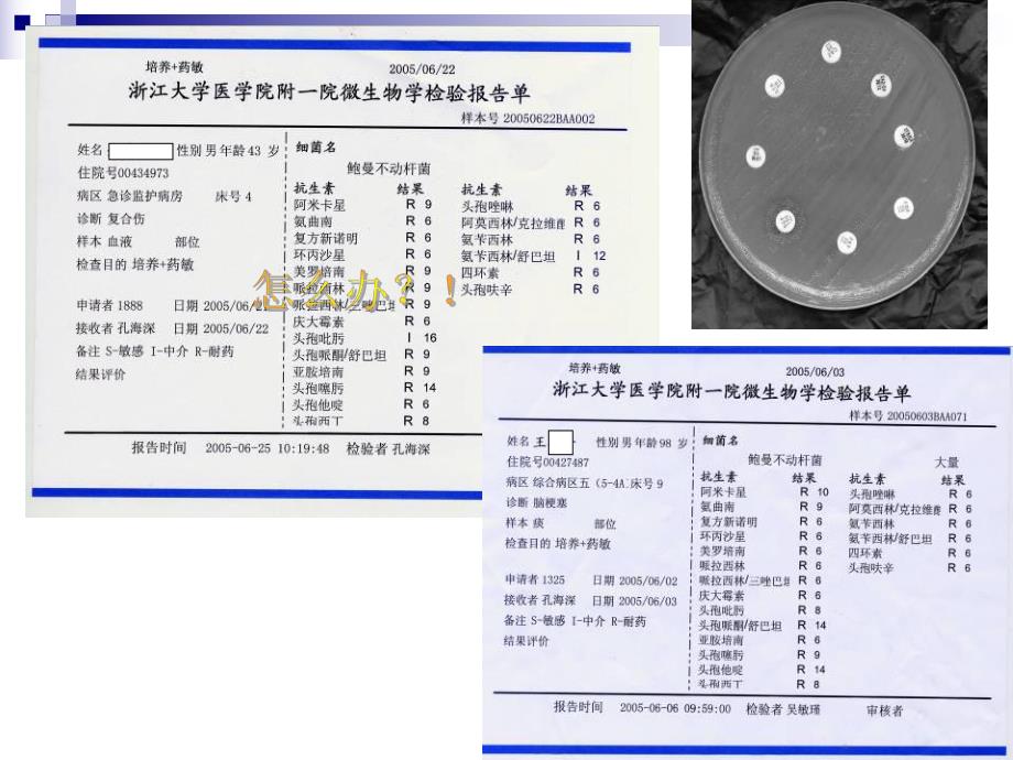 [临床医学]PKPD在合理使用抗生素中的意义.ppt_第3页