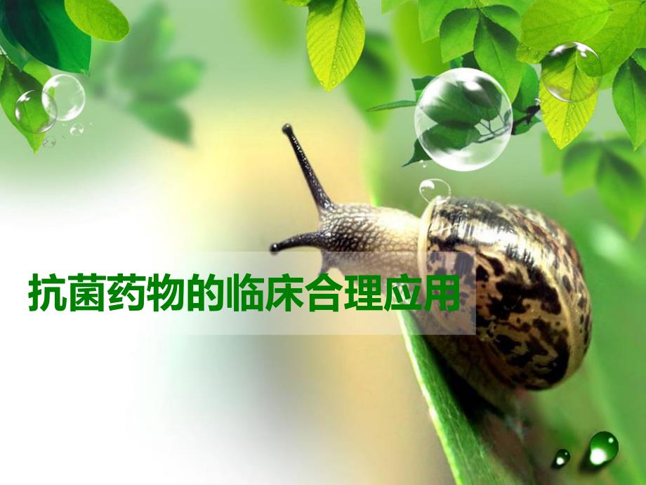 抗生素的临床合理应用幻灯片.ppt_第1页