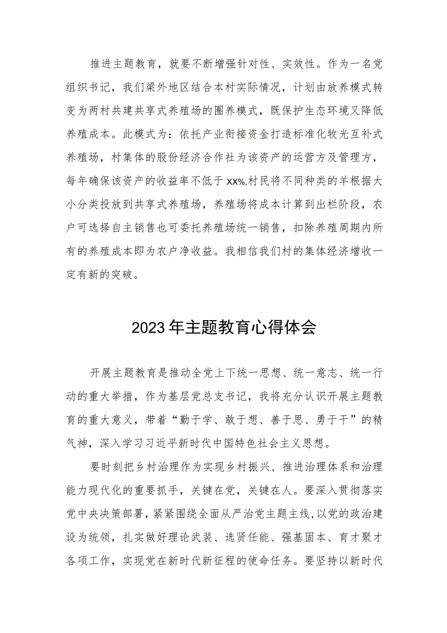 村支部书记关于2023年第二批主题教育的心得体会五篇.docx_第2页