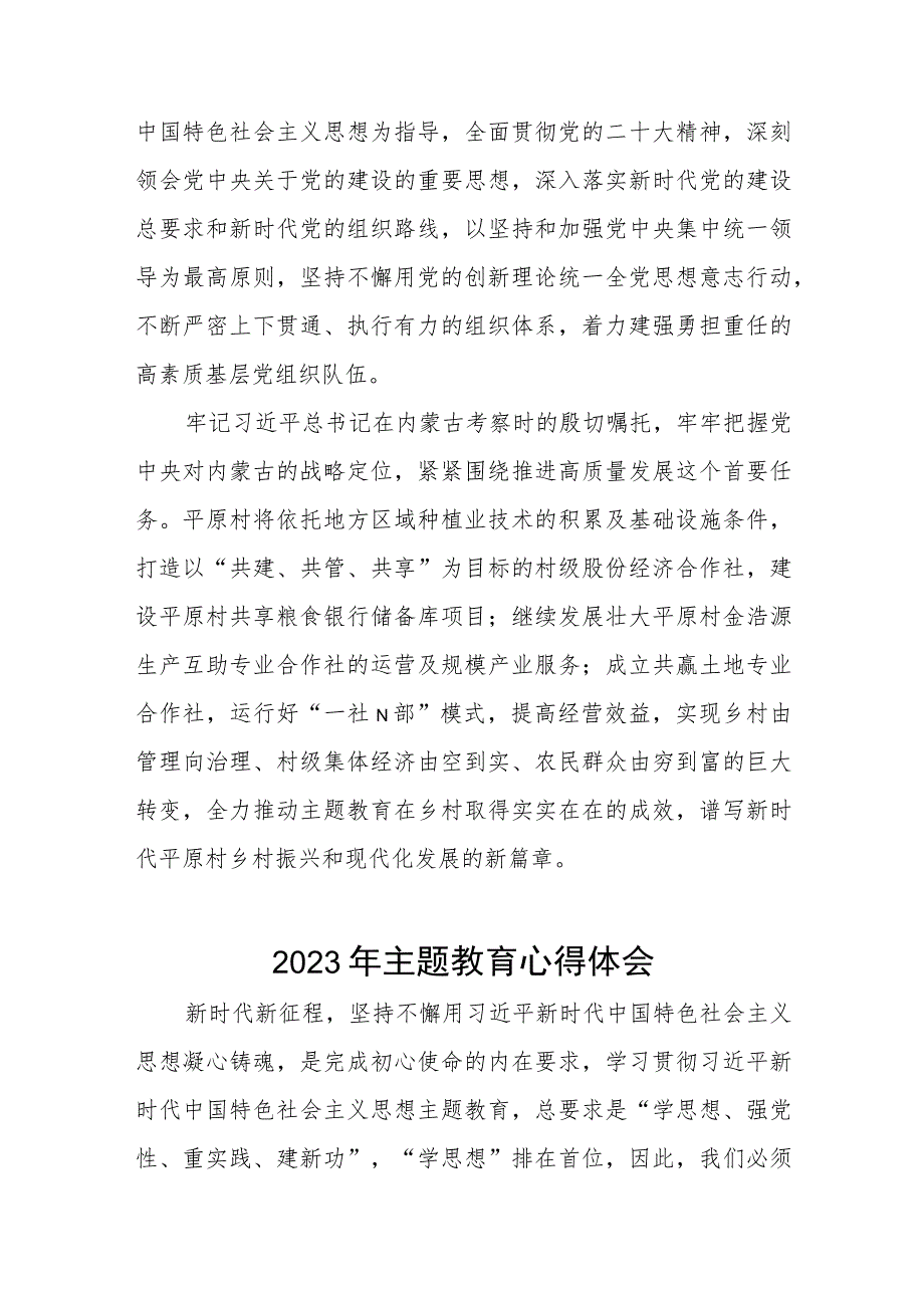 村支部书记关于2023年第二批主题教育的心得体会五篇.docx_第3页