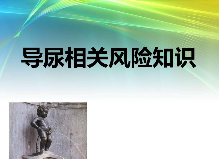 导尿的相关风险知识.ppt_第1页