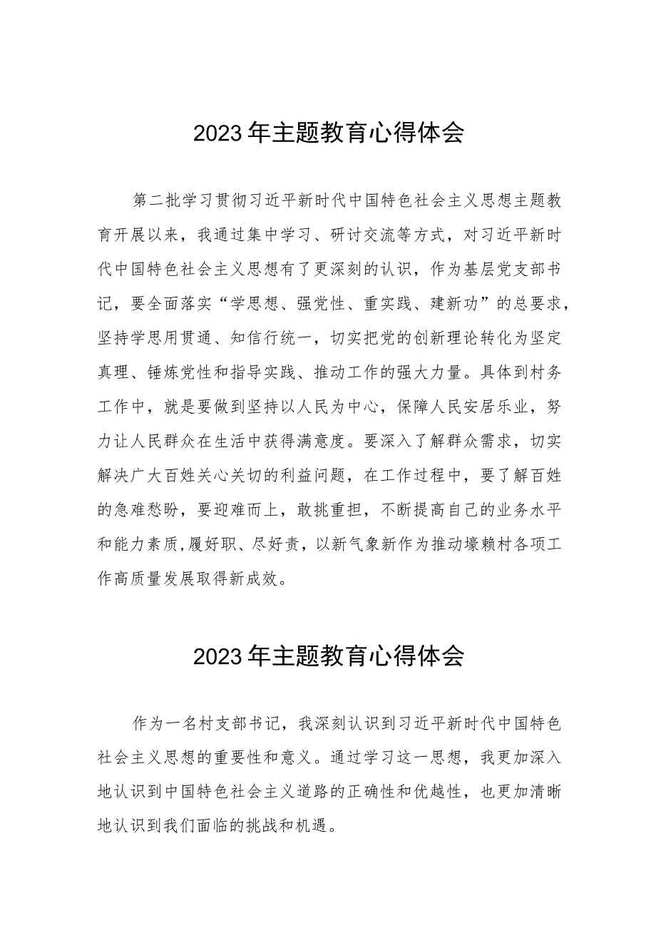 村长2023年第二批主题教育学习心得体会(九篇).docx_第1页