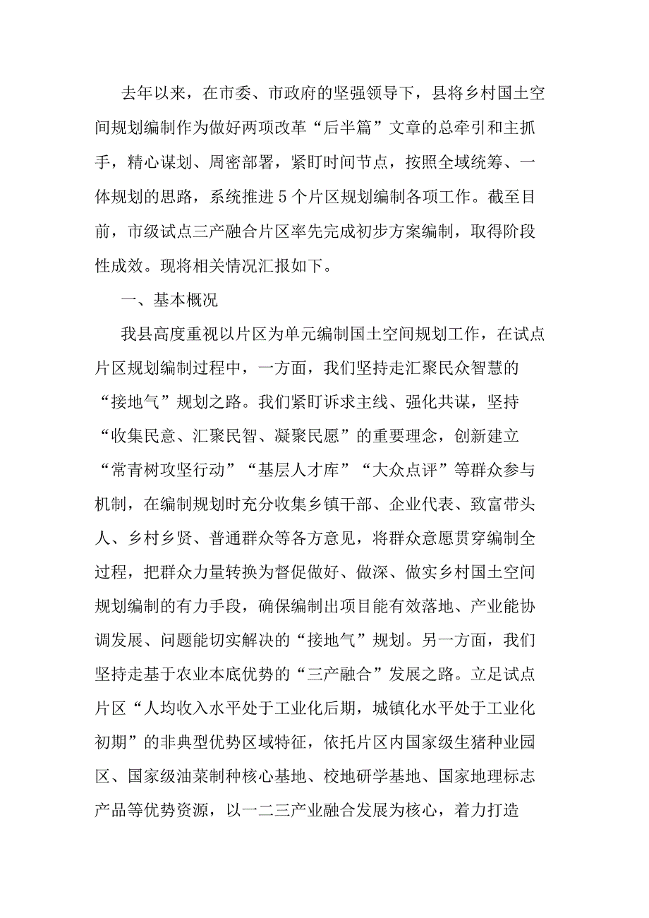 国土空间片区规划试点成果汇报.docx_第1页