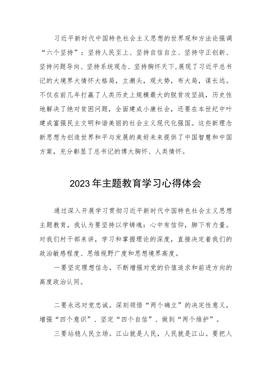 村干部学习贯彻2023年主题教育学习心得体会五篇.docx_第2页