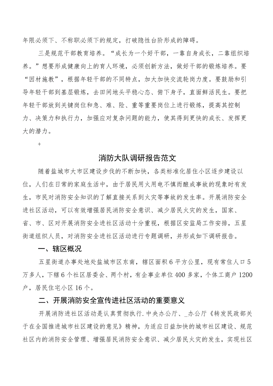 年轻干部“选育管用”现状调研报告.docx_第3页