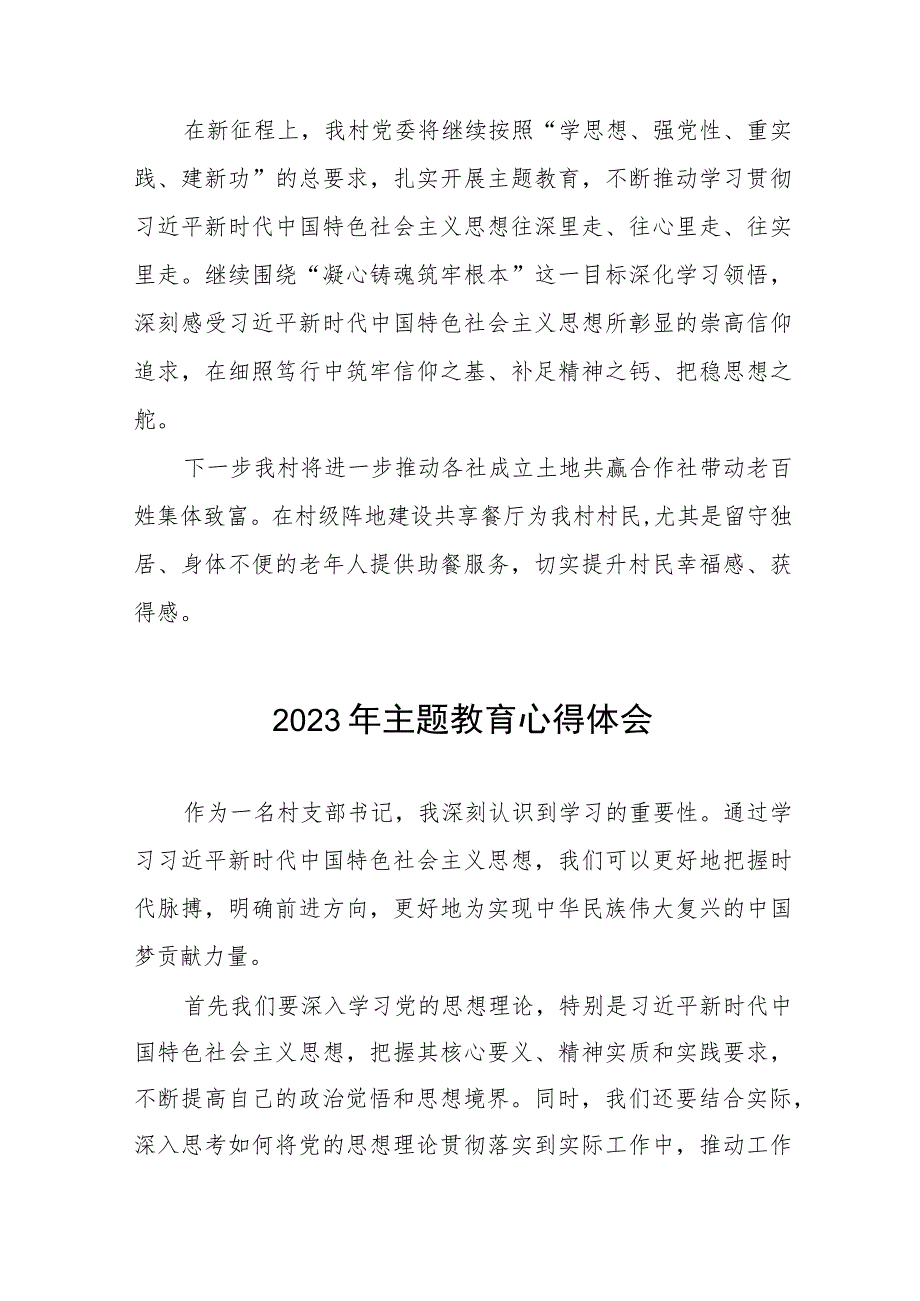 村书记关于2023年主题教育心得感悟十二篇.docx_第2页