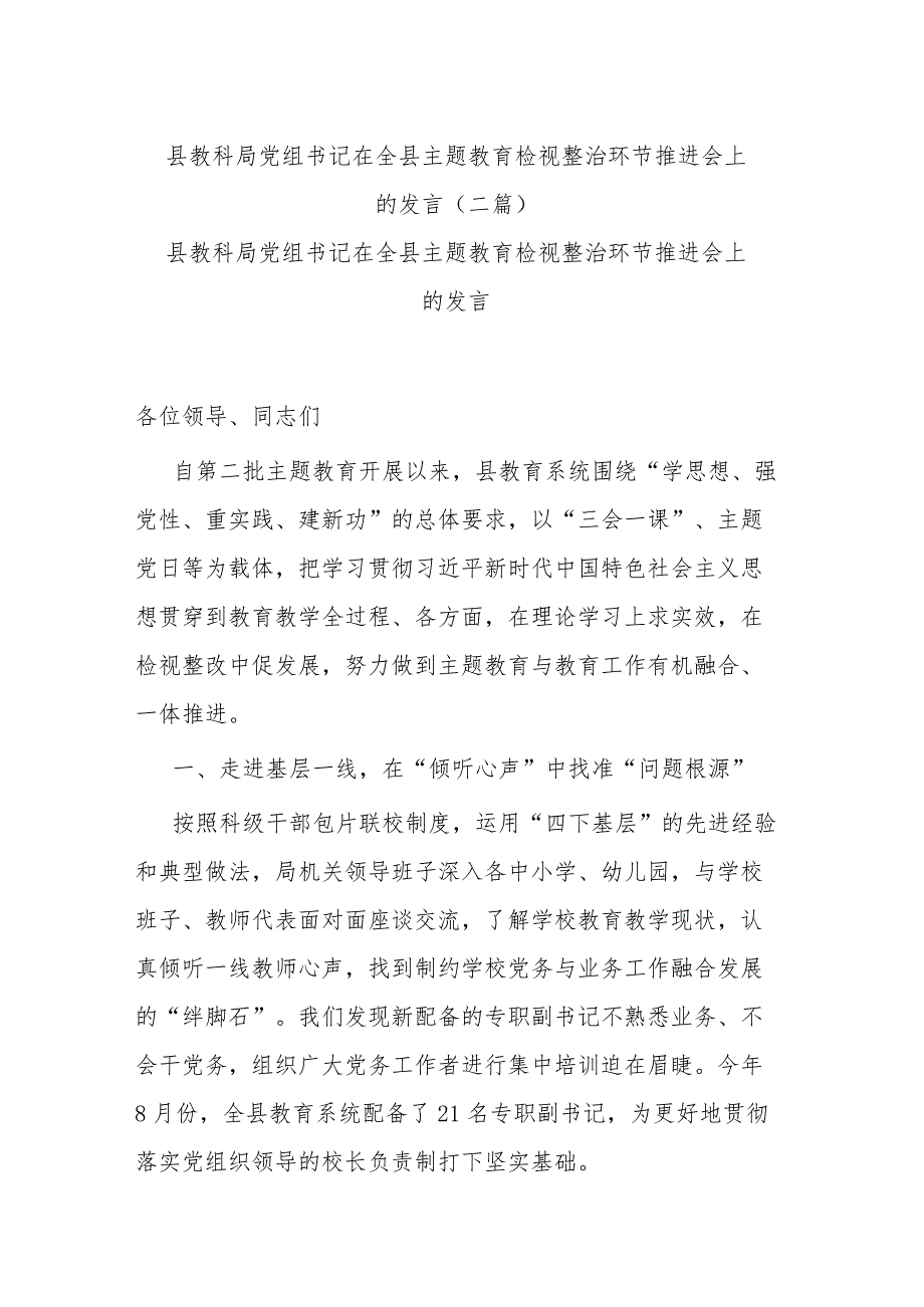 县教科局党组书记在全县主题教育检视整治环节推进会上的发言(二篇).docx_第1页