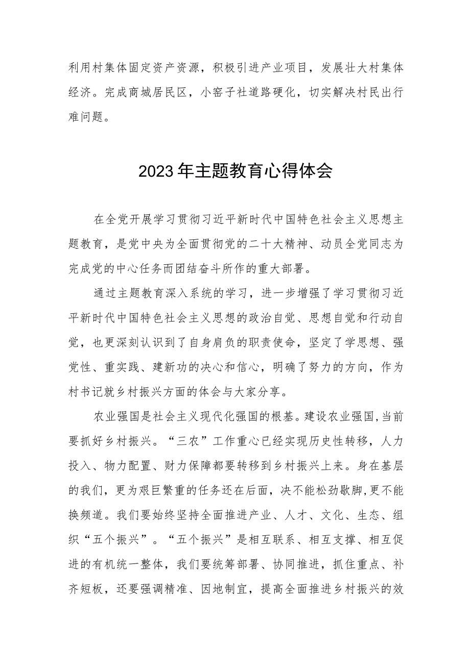 村开展第二批主题教育的心得体会五篇.docx_第2页