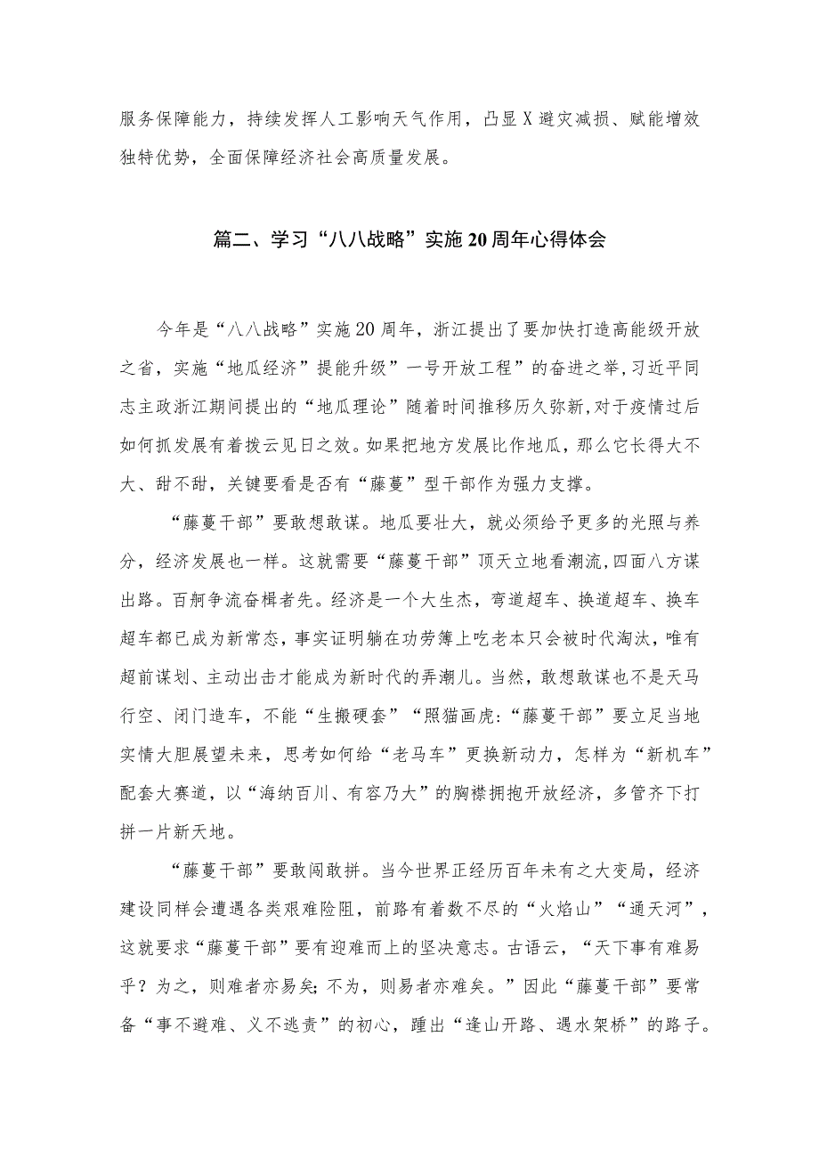 （13篇）学习“八八战略”经验研讨心得体会发言材料.docx_第3页