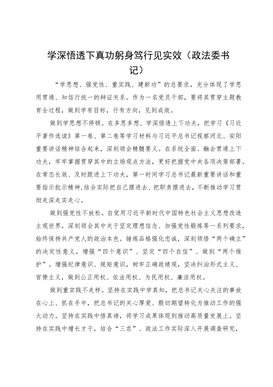 政法委书记在主题教育专题研讨会上的发言材料.docx_第1页