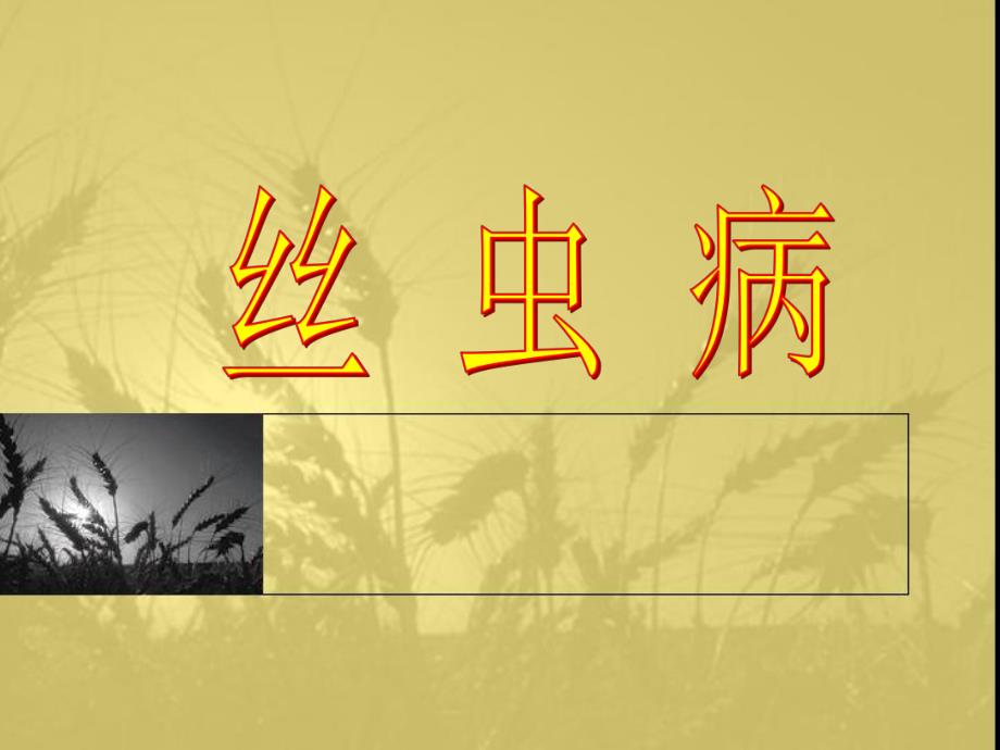 丝虫病.ppt.ppt_第1页