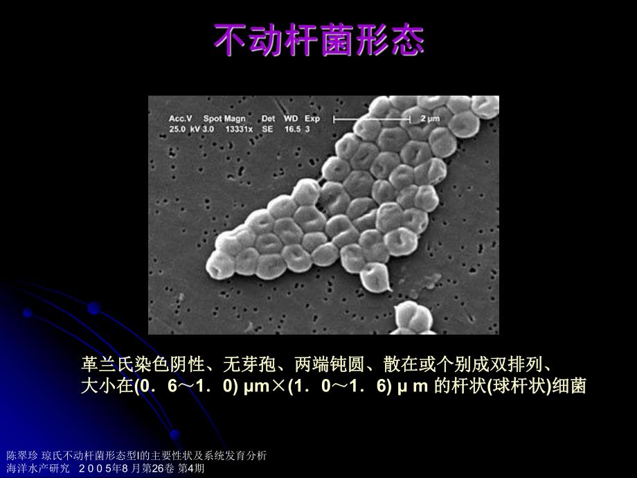 鲍曼不动杆菌感染(吴金)【精品PPT】 .ppt_第1页