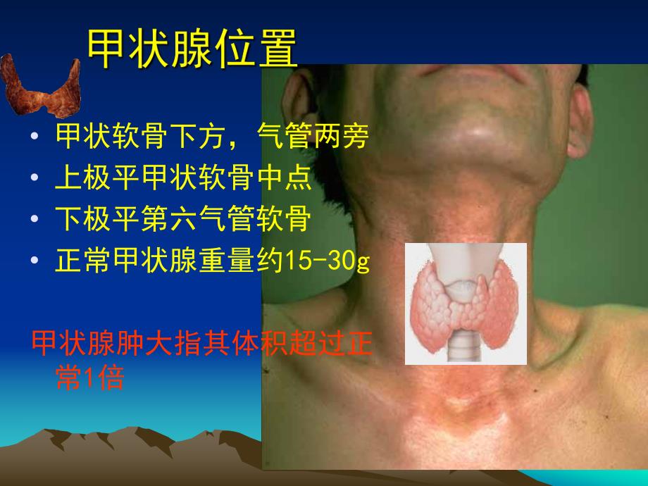 甲状腺解剖生理概要及临床意义.ppt_第2页