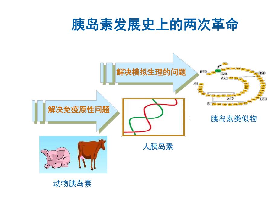 胰岛素类似物的临床方案讲义.ppt_第3页