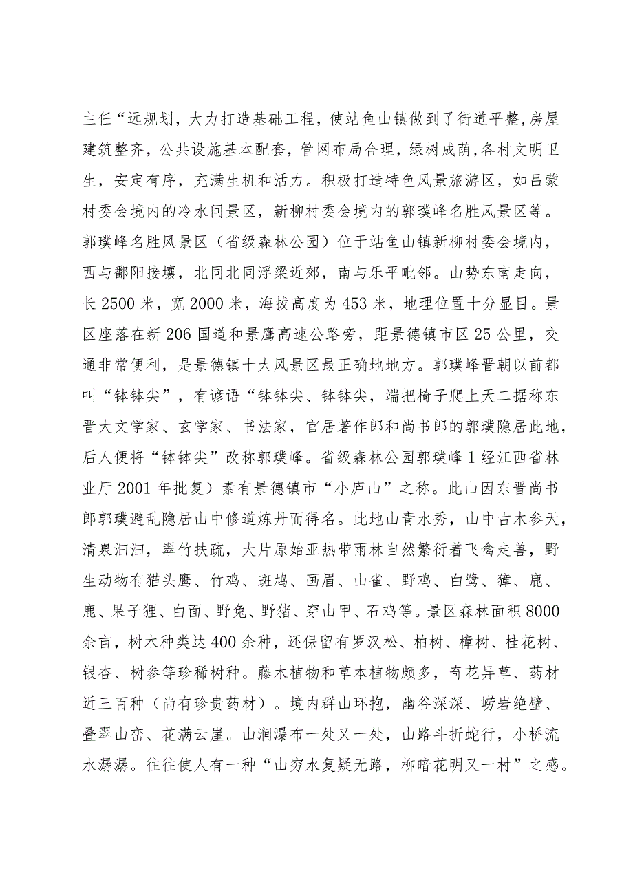 鲇鱼山镇航空文化产业项目管理方案.docx_第3页