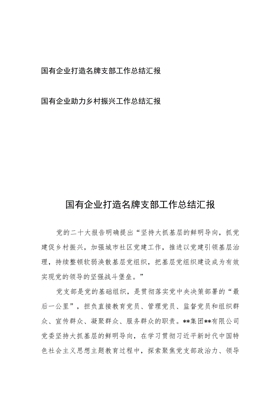 国有企业打造名牌支部工作总结汇报和国有企业助力乡村振兴工作总结汇报.docx_第1页