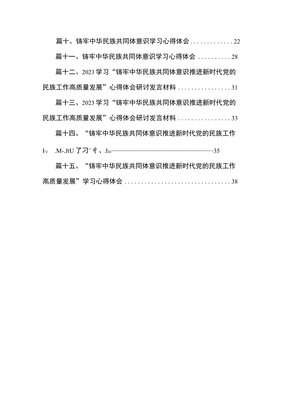 “铸牢中华民族共同体意识推进新时代党的民族工作高质量发展”学习心得体会范文精选(15篇).docx_第2页