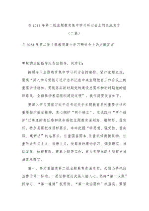 在2023年第二批主题教育集中学习研讨会上的交流发言(二篇).docx