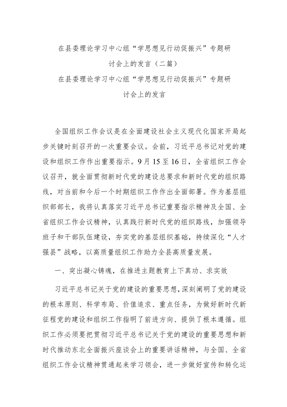 在县委理论学习中心组“学思想 见行动 促振兴”专题研讨会上的发言.docx_第1页