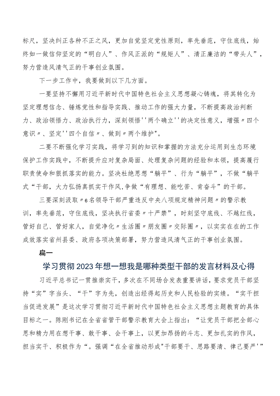 2023年度“我是哪种类型干部”研讨材料、学习心得共7篇.docx_第2页