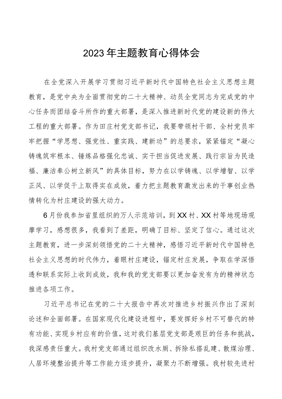 村支部书记关于2023年第二批主题教育心得体会十二篇.docx_第1页