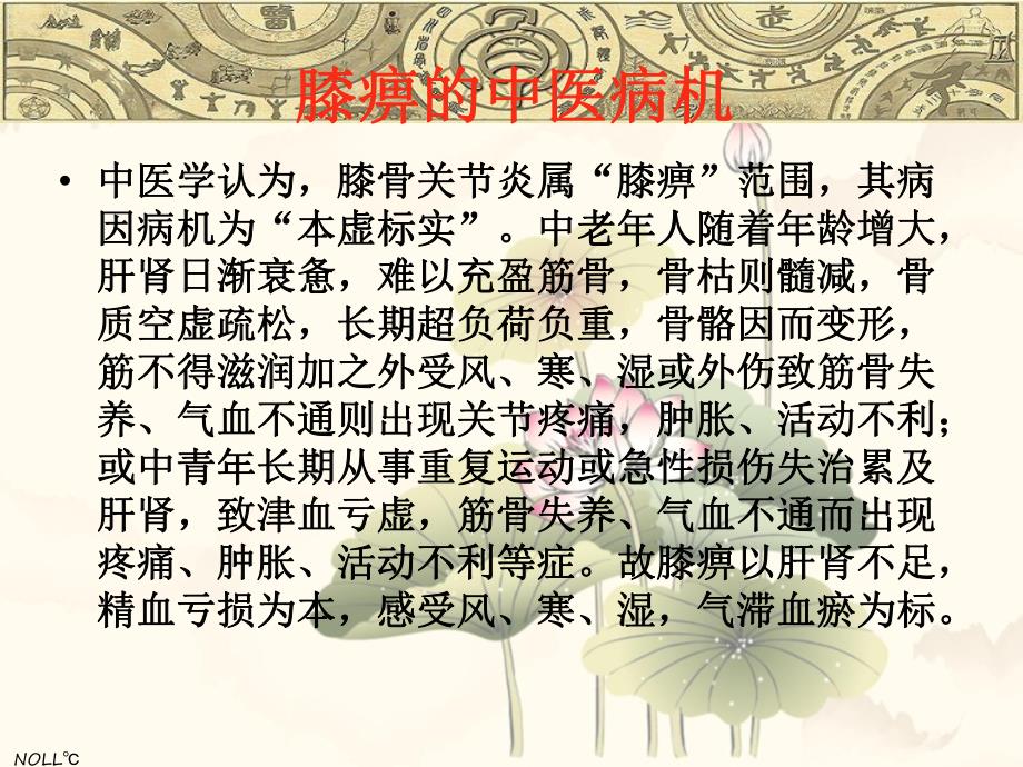 膝痹的诊治难点与临床对策.ppt_第2页