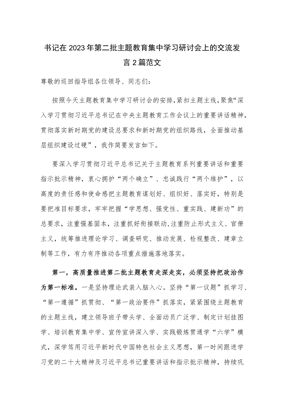 书记在2023年第二批主题教育集中学习研讨会上的交流发言2篇范文.docx_第1页