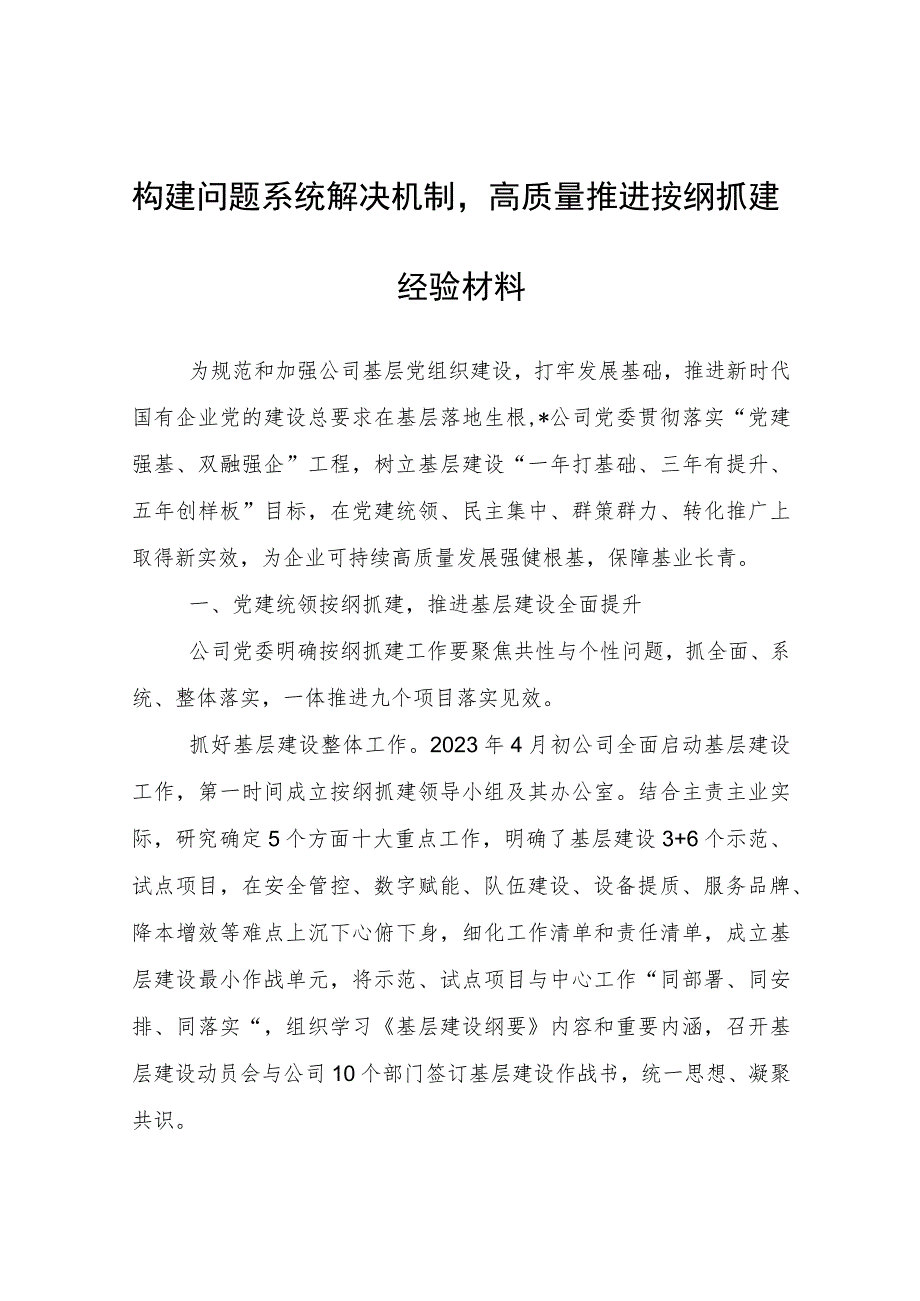 构建问题系统解决机制高质量推进按纲抓建经验材料.docx_第1页