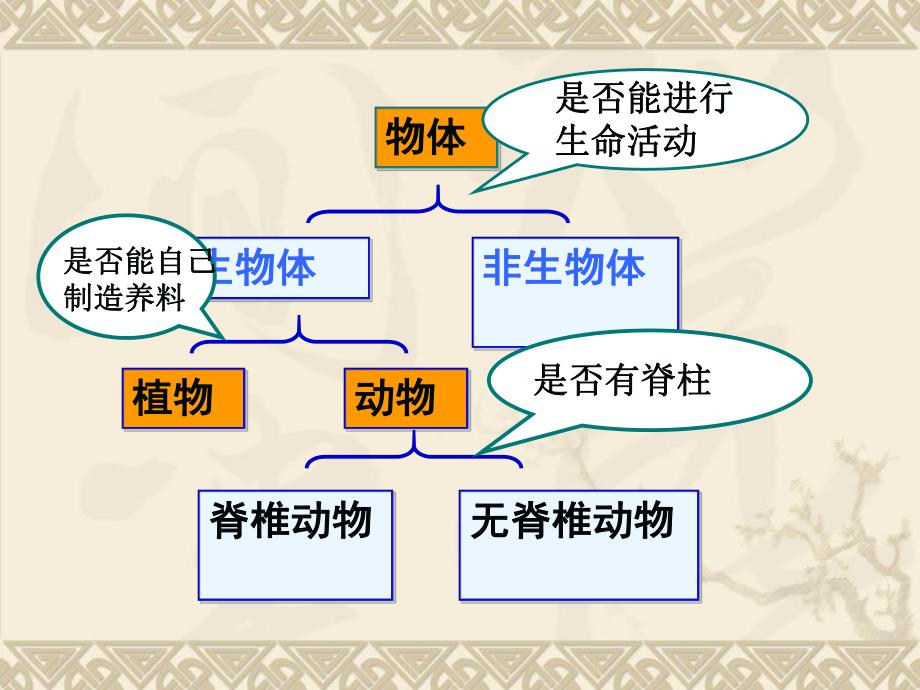 第3节动物的主要类群第1课时.ppt_第3页