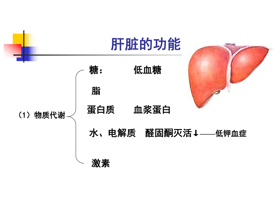 第3章第5节肝衰.ppt_第2页