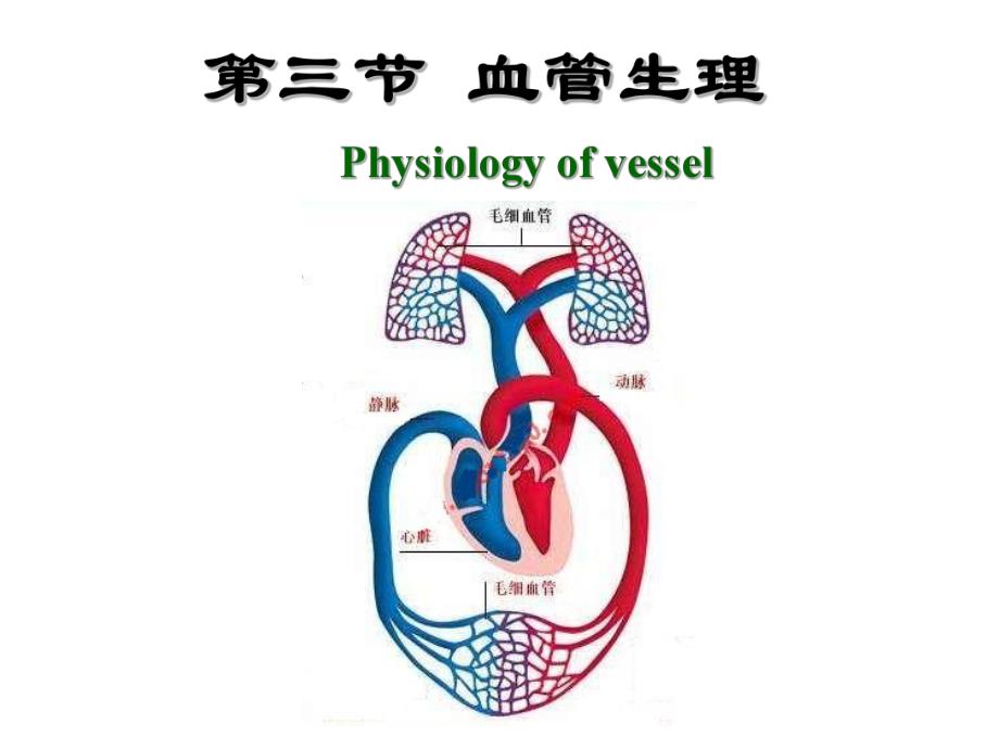 第4章第3节血管生理名师编辑PPT课件.ppt_第1页