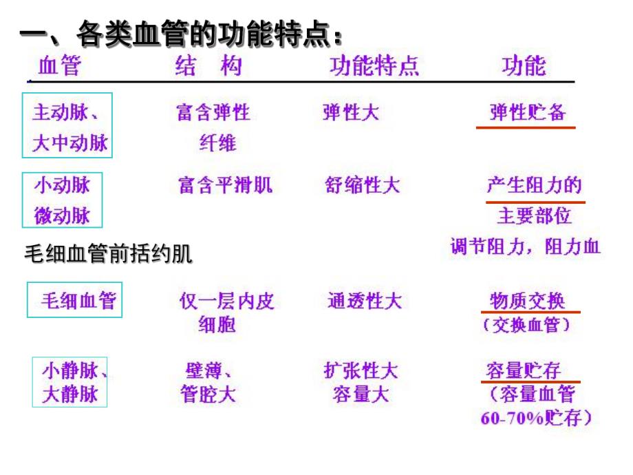 第4章第3节血管生理名师编辑PPT课件.ppt_第2页