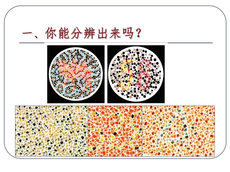 第3节伴性遗传名师编辑PPT课件.ppt_第3页