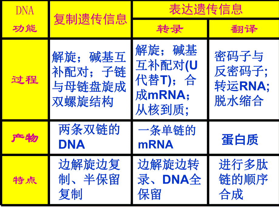 第4章基因的表达第2节基因对性状的控制名师编辑PPT课件.ppt_第2页