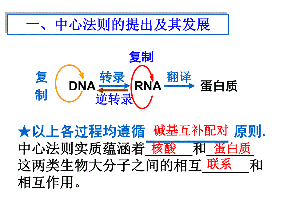 第4章基因的表达第2节基因对性状的控制名师编辑PPT课件.ppt_第3页