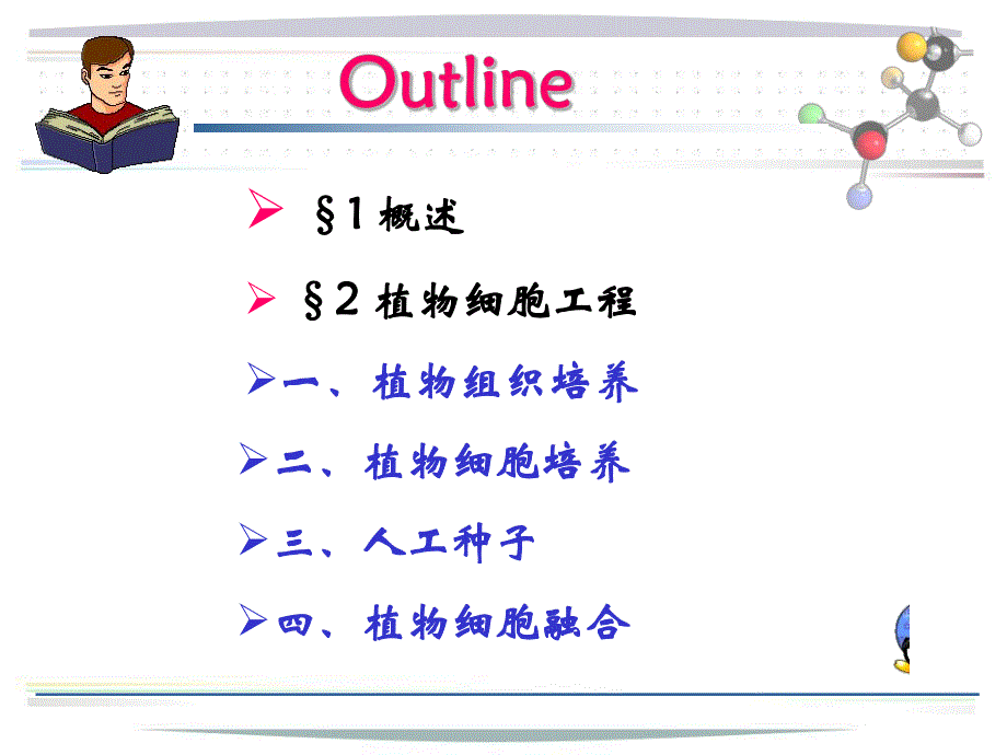 第3章细胞工程1植物细胞.ppt_第2页