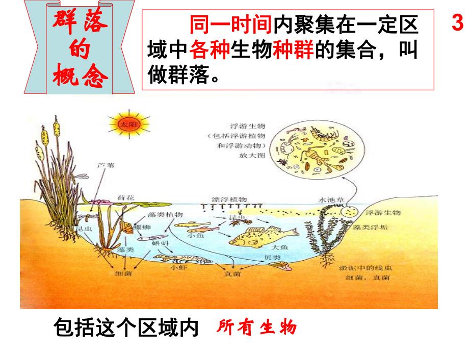 第3节群落的结构2.ppt_第3页