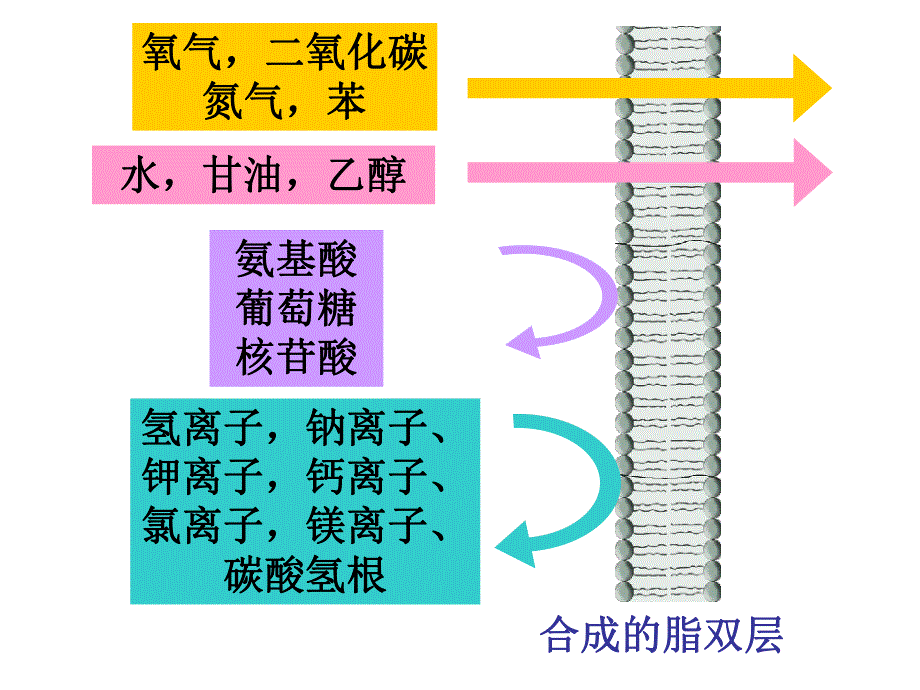 第3部分物质跨膜运输的方式名师编辑PPT课件.ppt_第2页