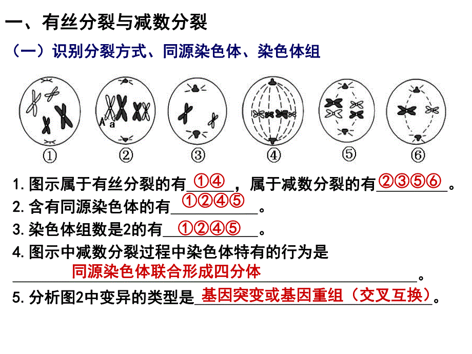 第3讲细胞的生命历程.ppt_第3页