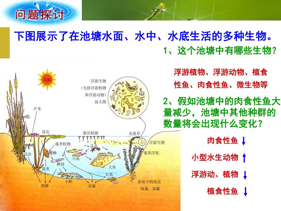 第4章种群和群落第3节群落的结构.ppt_第2页