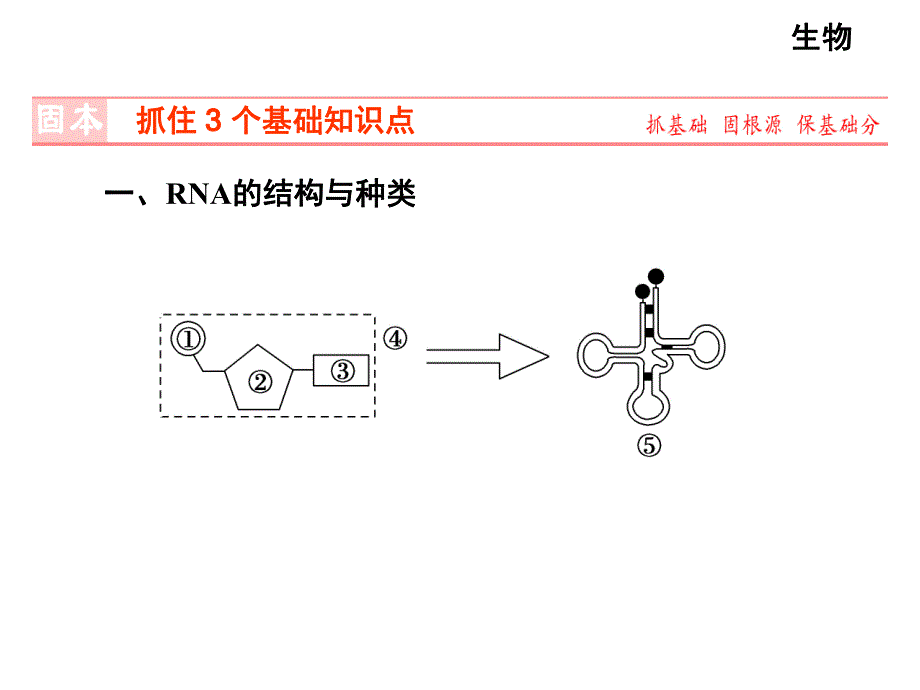 第3讲基因的表达.ppt_第2页