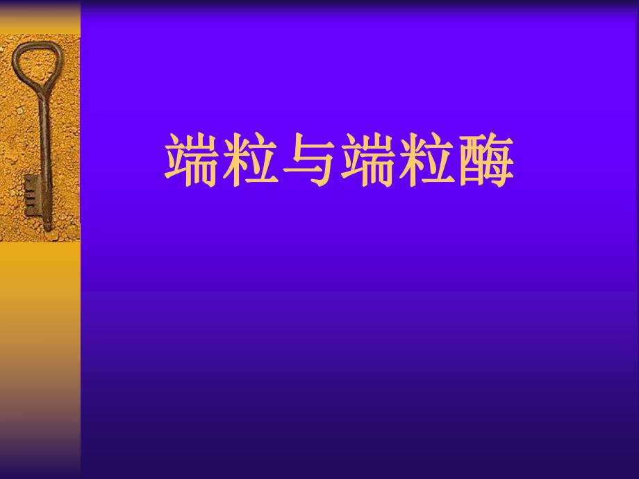 第4章基因重组端粒与端粒酶ppt课件名师编辑PPT课件.ppt_第1页