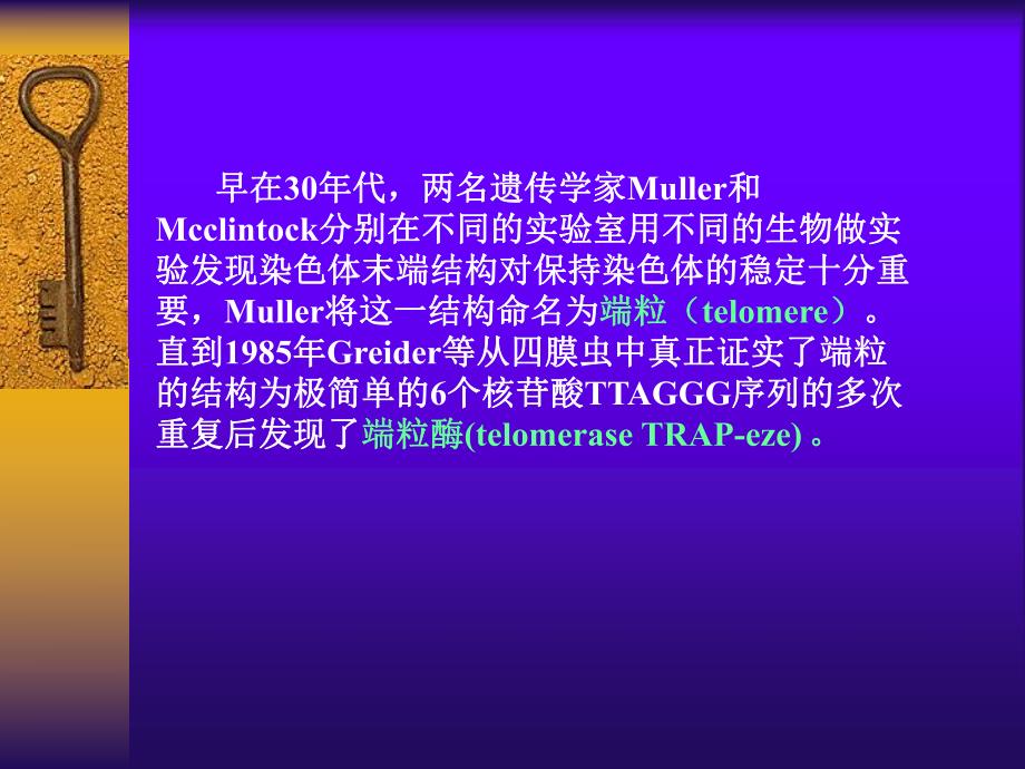 第4章基因重组端粒与端粒酶ppt课件名师编辑PPT课件.ppt_第2页