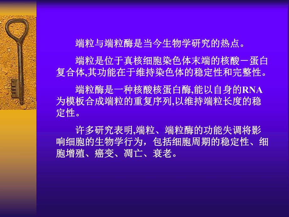 第4章基因重组端粒与端粒酶ppt课件名师编辑PPT课件.ppt_第3页