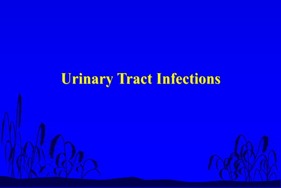 Urinary tract infection.ppt_第1页