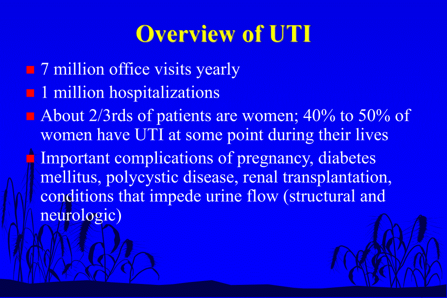 Urinary tract infection.ppt_第2页