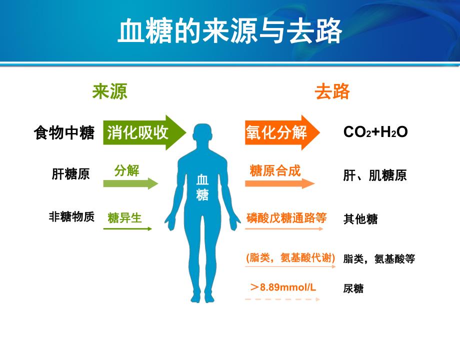 从B细胞功能看2型糖尿病治疗.ppt_第2页