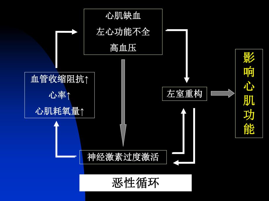 β阻滞剂与慢性收缩性心衰.ppt_第2页