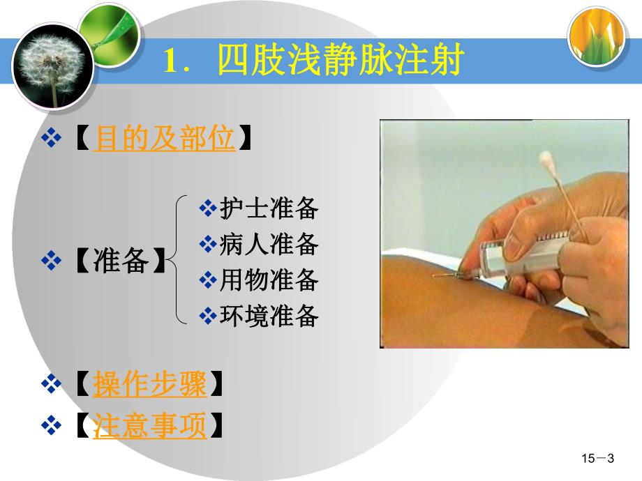 静脉注射法.ppt_第3页